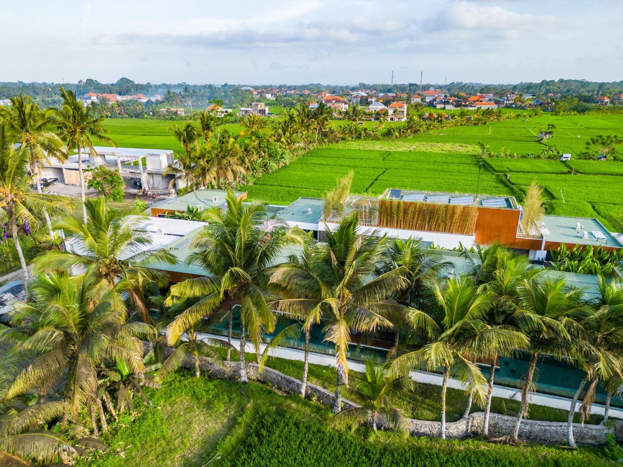 Green Flow Ubud Villa 20 Екстериор снимка